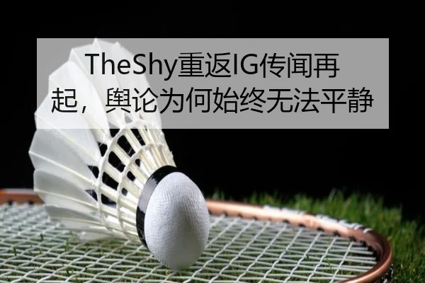 TheShy重返IG传闻再起，舆论为何始终无法平静